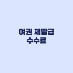 여권 재발급 수수료 2026 면수 연령별 비용 확인