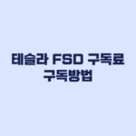 테슬라 FSD 구독료 구독방법 요금 차이와 해지 전 확인