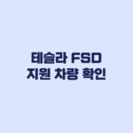 테슬라 FSD 지원 차량 확인 내 차가 되는지 보는 기준