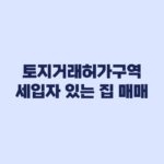 토지거래허가구역 세입자 있는 집 매매 조건과 실거주 유예 기준