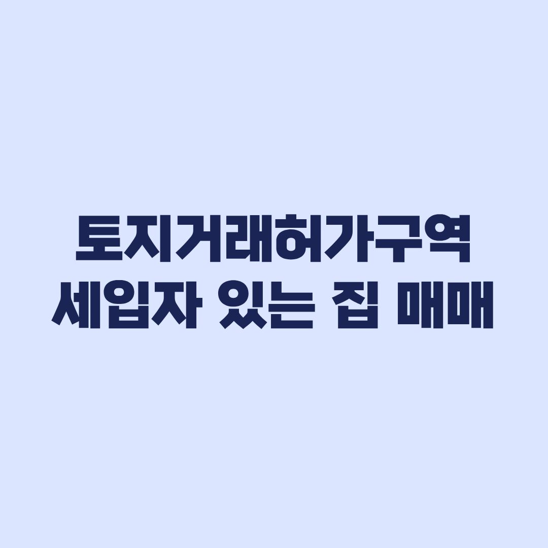토지거래허가구역 세입자 있는 집 매매 조건과 실거주 유예 기준