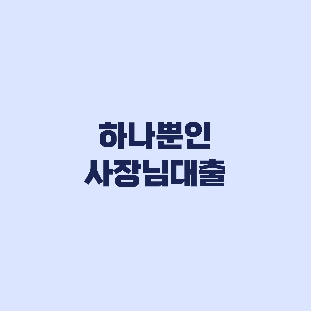 하나뿐인 사장님대출 조건 금리 한도 신청 전 확인할 기준