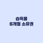 습득물 6개월 소유권 공고일부터 계산해야 하는 이유