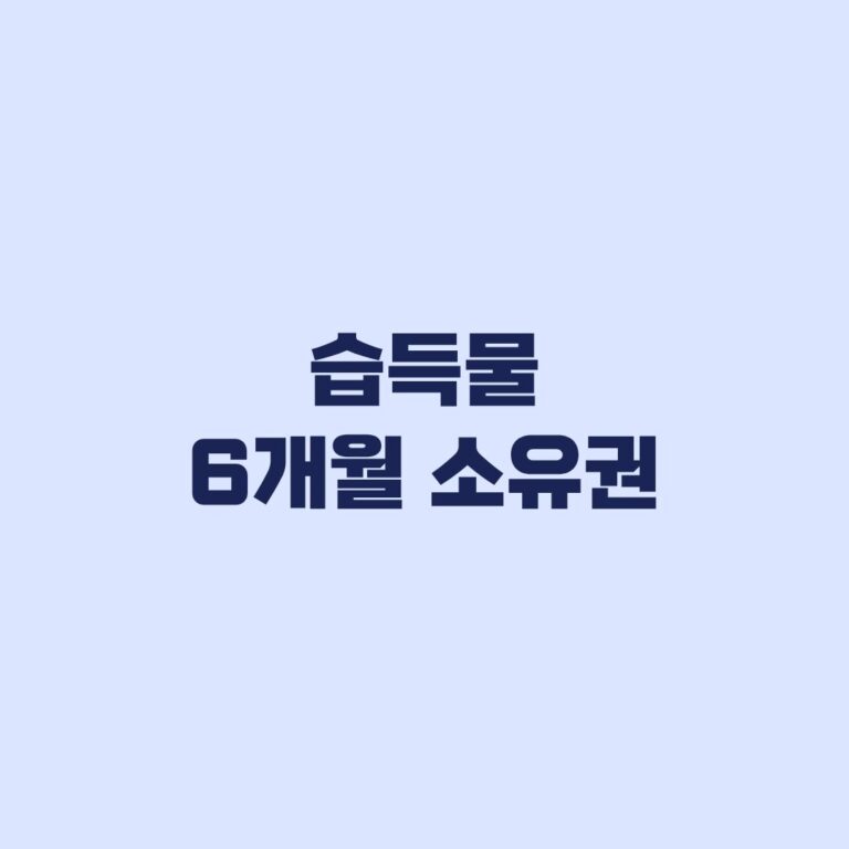 습득물 6개월 소유권 공고일부터 계산해야 하는 이유