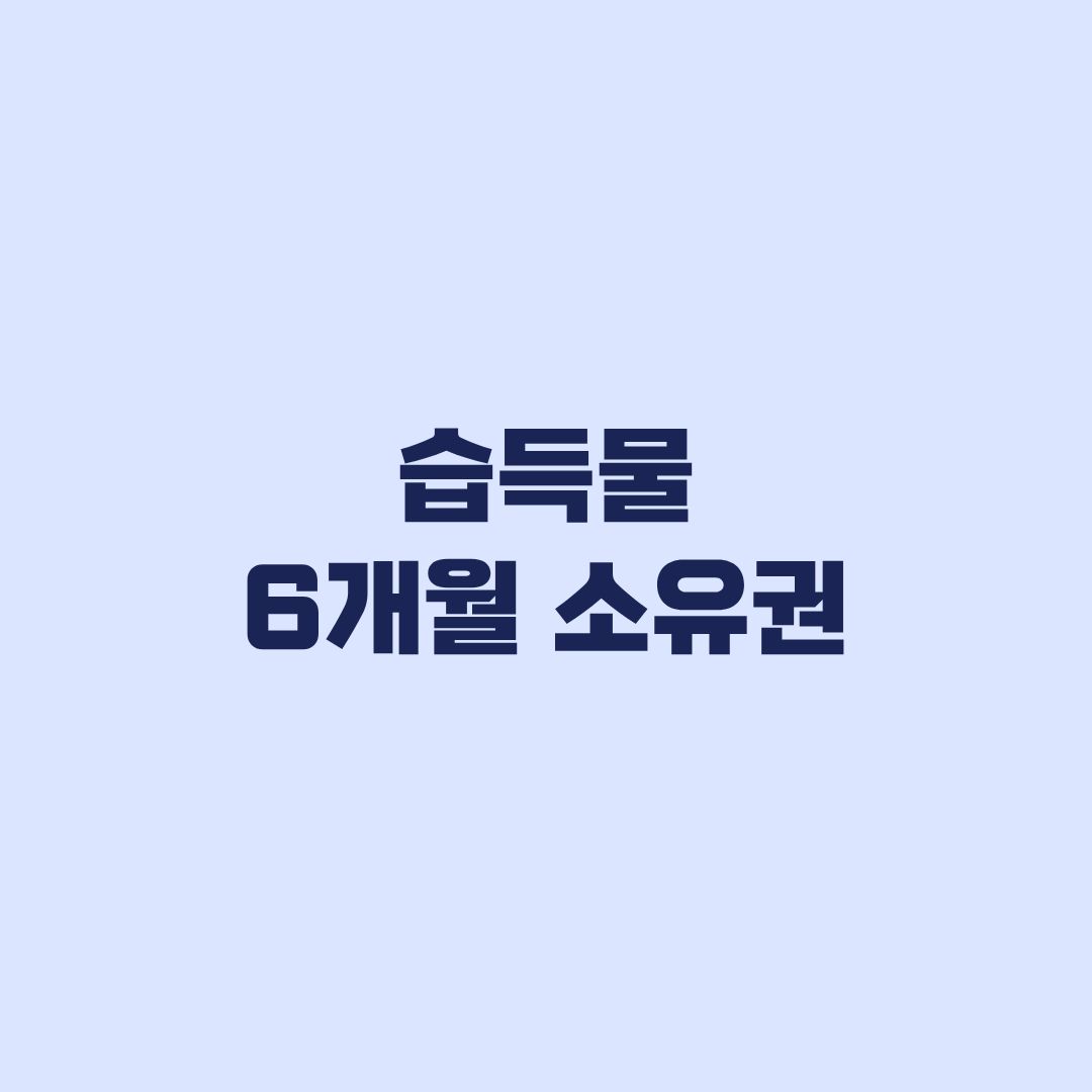 습득물 6개월 소유권 공고일부터 계산해야 하는 이유