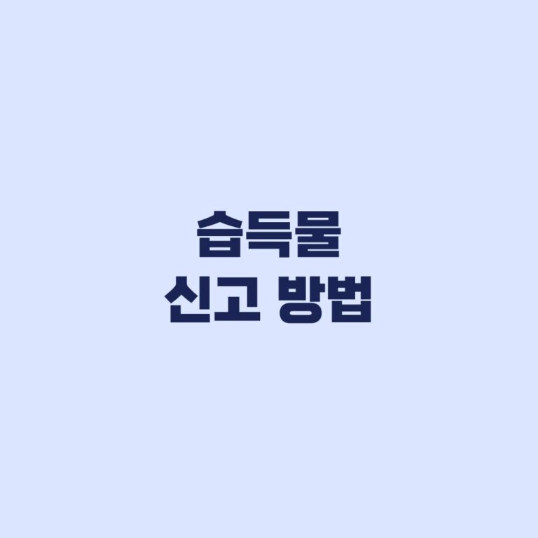 습득물 신고 방법 7일 넘기면 소유권과 보상금 권리 상실