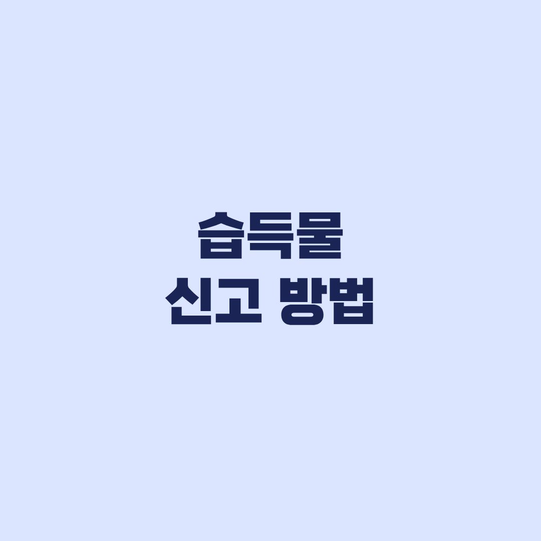 습득물 신고 방법 7일 넘기면 소유권과 보상금 권리 상실