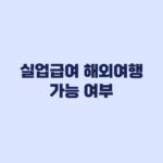 실업급여 해외여행 가능 여부, 실업인정일과 부정수급 기준