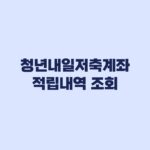 청년내일저축계좌 적립내역 조회와 월별 지원금 누락 확인