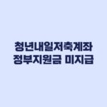 청년내일저축계좌 정부지원금 미지급 원인과 해결 순서