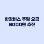 한강버스 주말 요금 6000원 추진, 언제부터 적용되나