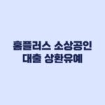 홈플러스 피해 소상공인 대출 상환유예 직접·대리대출별 신청절차